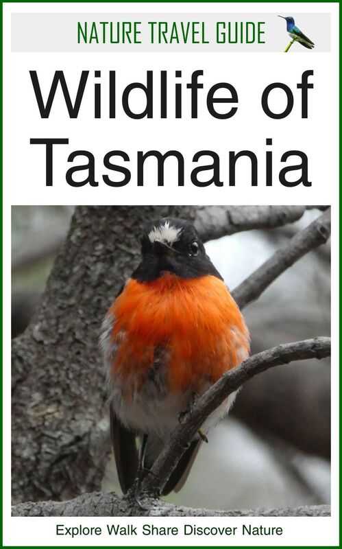 Wildlife of Tasmania (Nature Travel Guide)