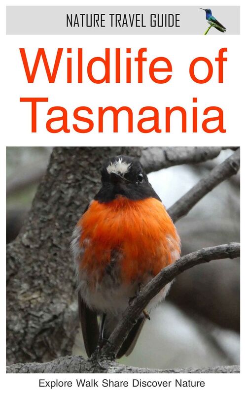 Wildlife of Tasmania (Nature Travel Guide)