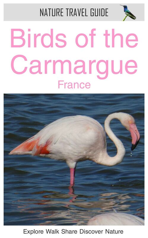 Birds of the Carmargue, France (Nature Travel Guide)