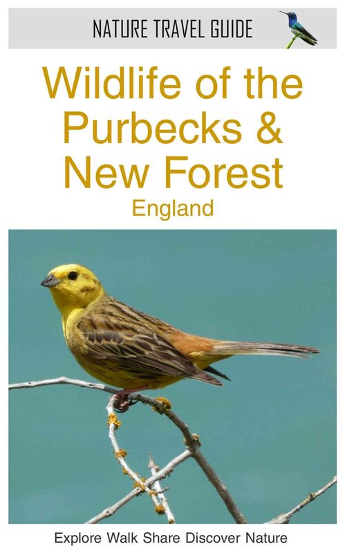 Wildlife of the Purbecks and New Forest, England (Nature Travel Guide)