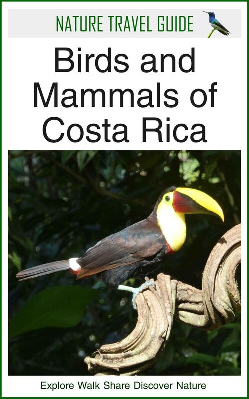 Birds of Costa Rica (Nature Travel Guide)