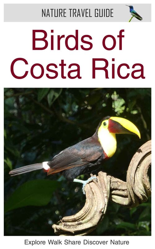 Birds of Costa Rica (Nature Travel Guide)