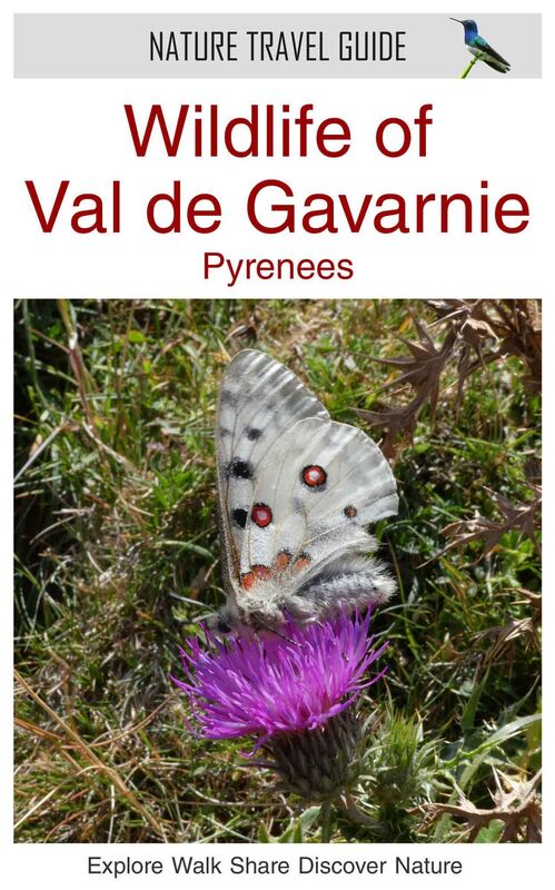 Wildlife of Val de Gavarnie, Pyrenees (Nature Travel Guide)