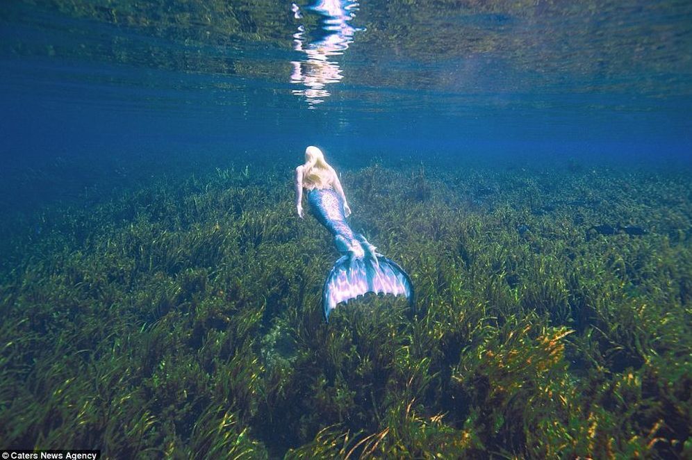 A Mermaid Dream