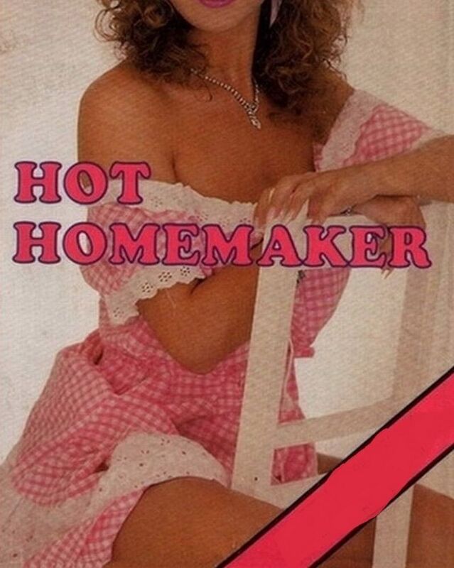 Hot Homemaker - Erotic Novel