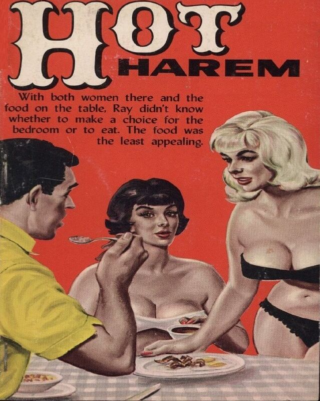 Hot Harem - Erotic Novel