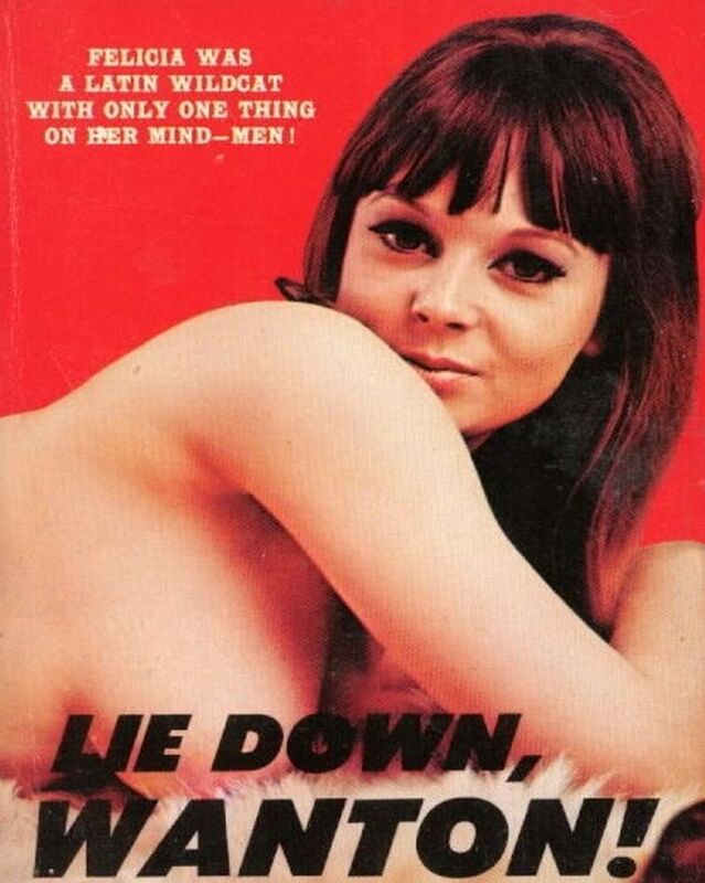 Lie Down, Wanton! - Erotic Novel