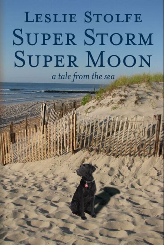 Super Storm Super Moon: A Tale from the Sea
