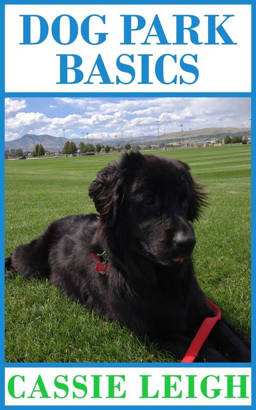 Dog Park Basics