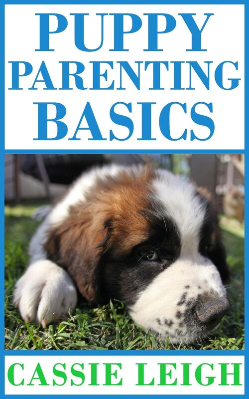 Puppy Parenting Basics