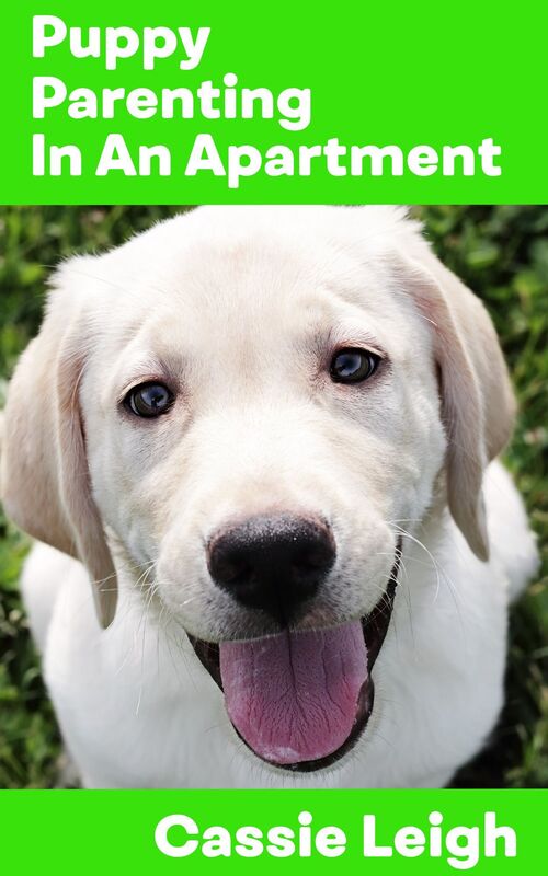Puppy Parenting in an Apartment