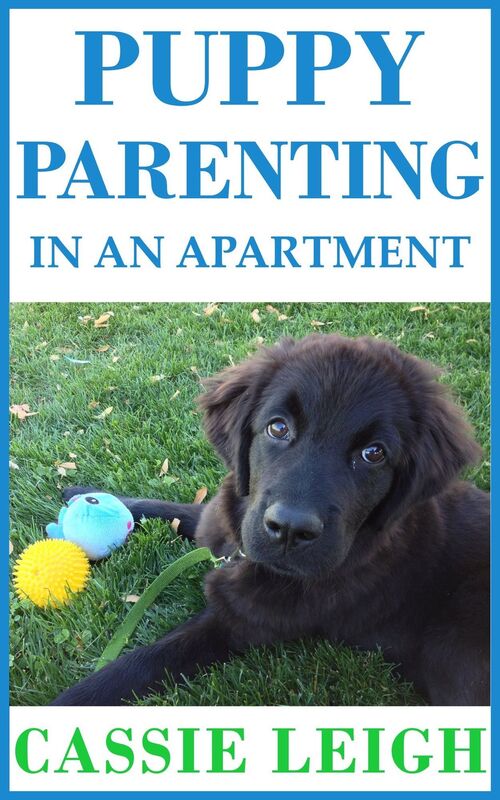 Puppy Parenting in an Apartment