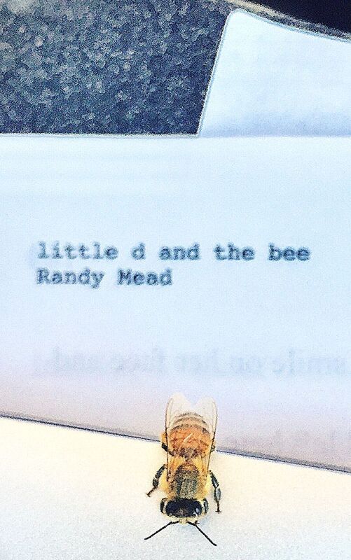 LITTLE d AND THE BEE: A Powerful True Story of Love and Forgiveness