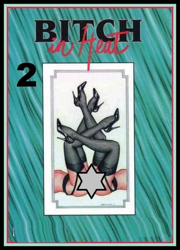Bitch in Heat Number 02 (Erotic Comic)