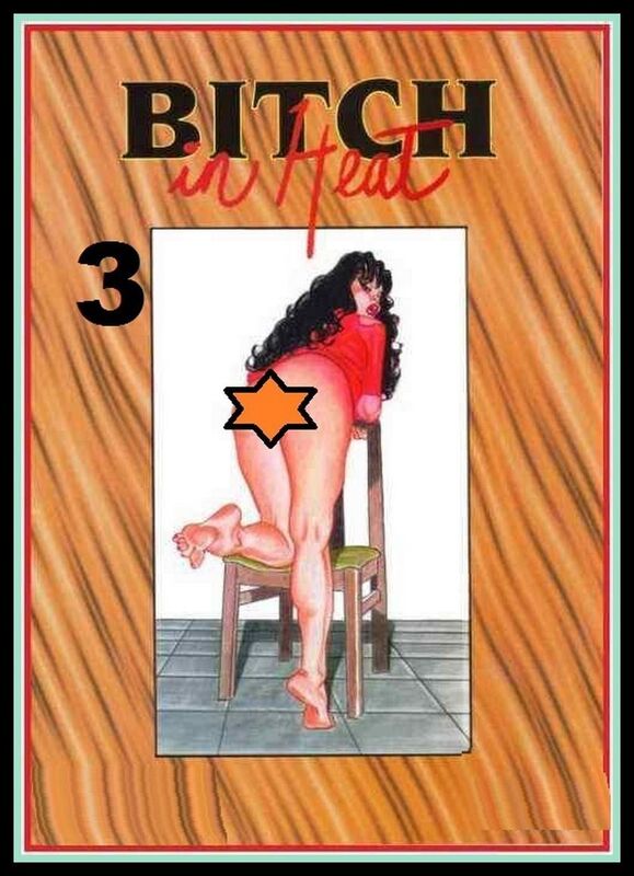 Bitch in Heat Number 03 (Erotic Comic)