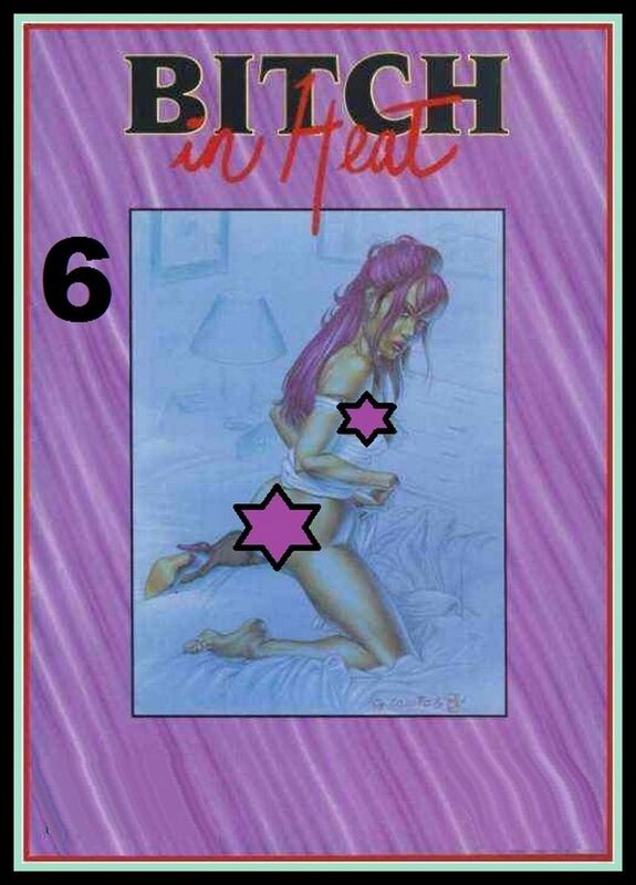 Bitch in Heat Number 06 (Erotic Comic)