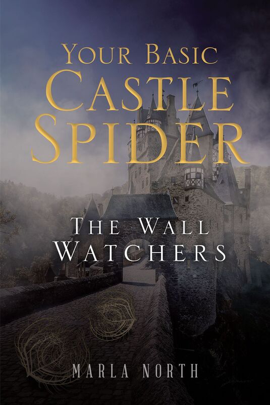 Your Basic Castle Spider: The Wall Watchers
