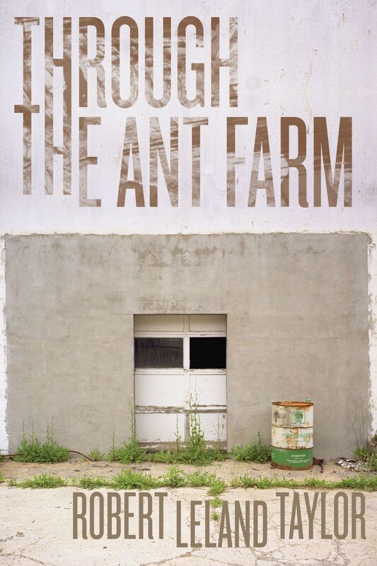 Through the Ant Farm