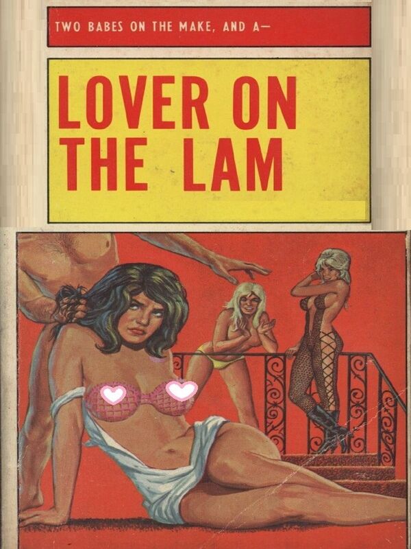 Lover On The Lam - Erotic Novel