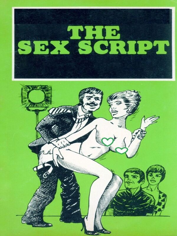 The Sex Script - Erotic Novel