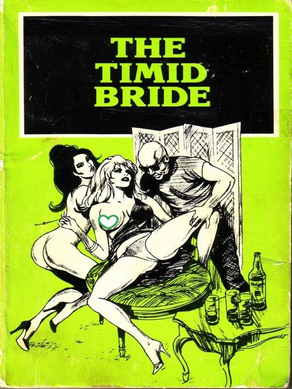 The Timid Bride - Erotic Novel