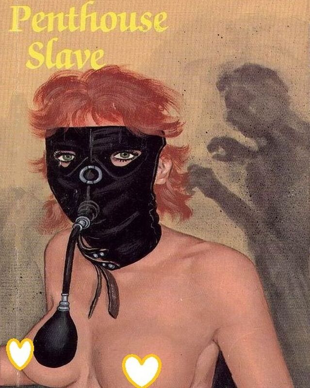 Penthouse Slave - Erotic Novel
