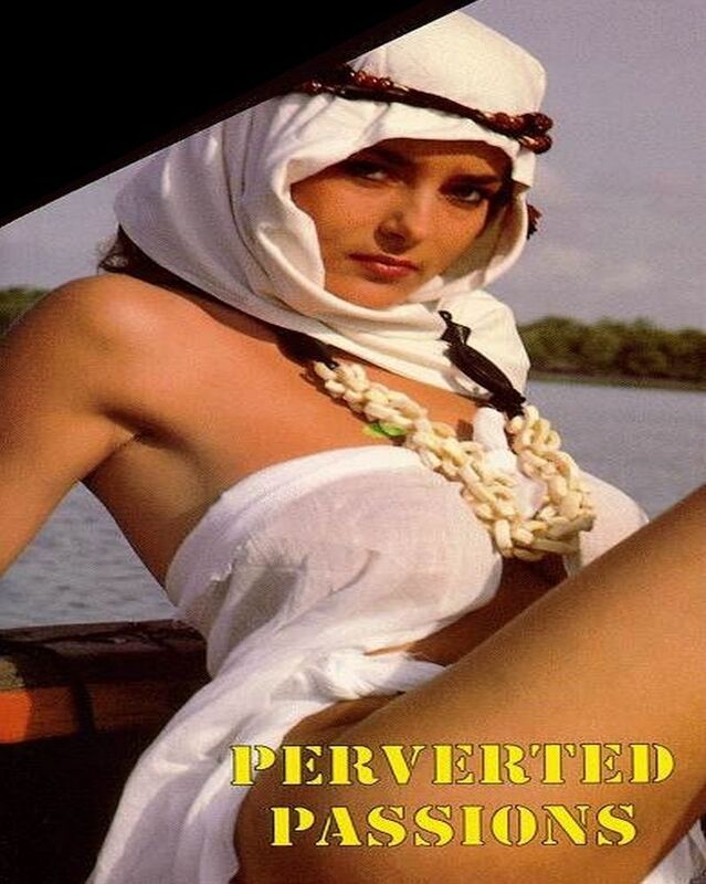 Perverted Passions - Erotic Novel