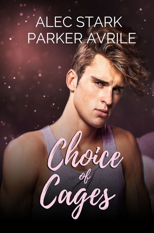 Choice of Cages: A BDSM Gay Romance