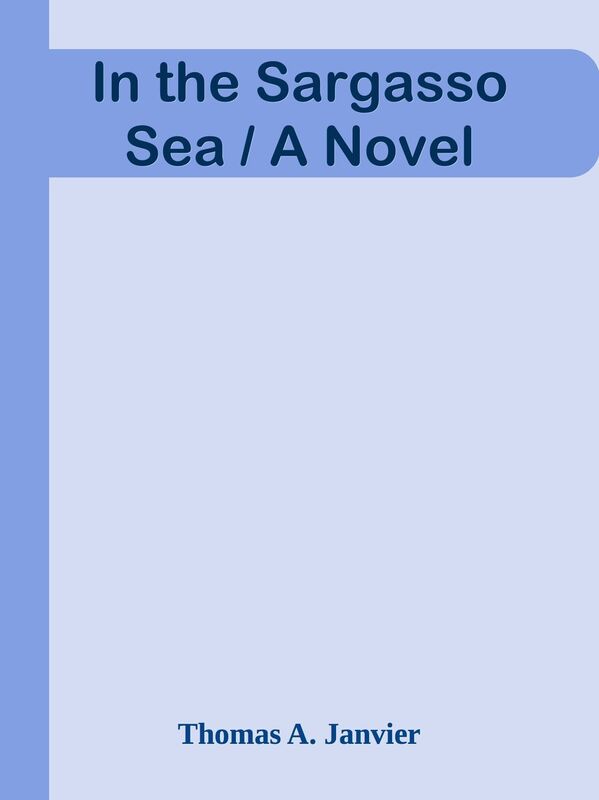 In the Sargasso Sea / A Novel