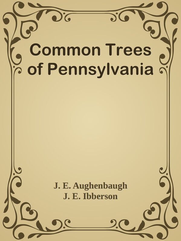 Common Trees of Pennsylvania