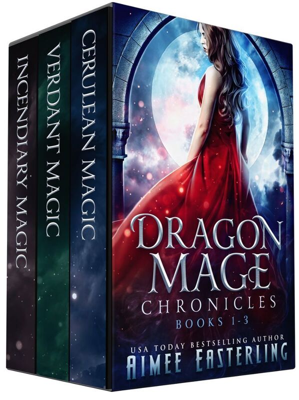 Dragon Mage Chronicles