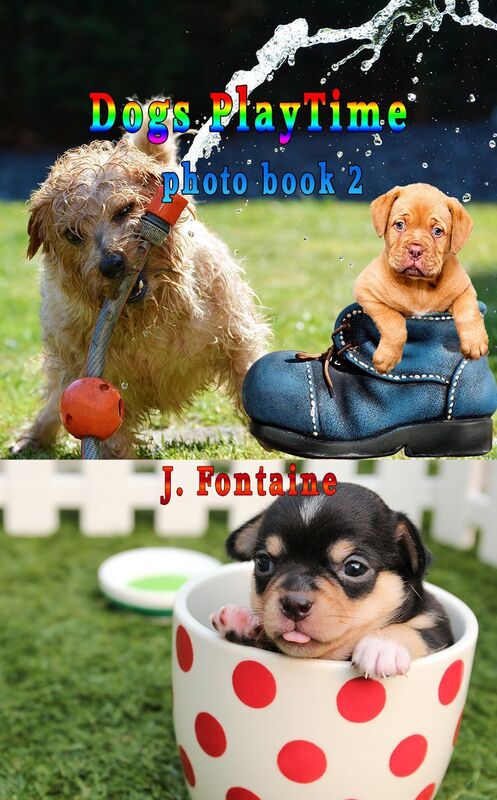 Dogs Play Time Photo Book 2