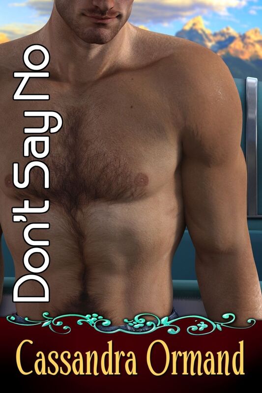 Don't Say No: Smokin Hot Romance