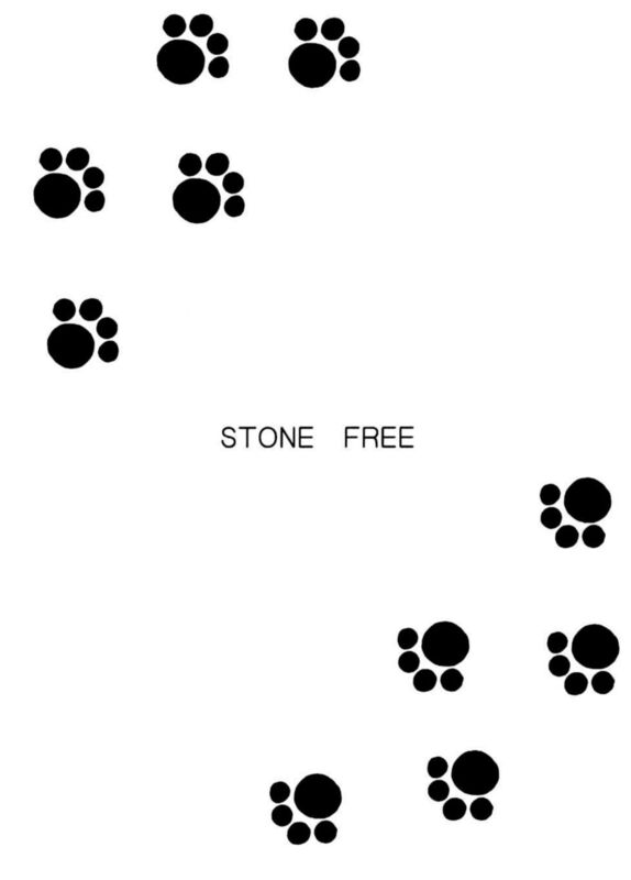 Stone Free - Hentai