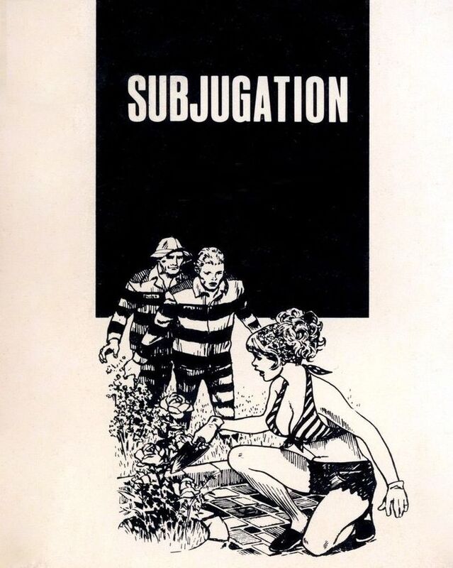 Subjugation - Erotic Novel