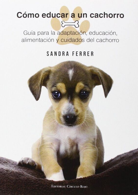 Como educar a un cachorro