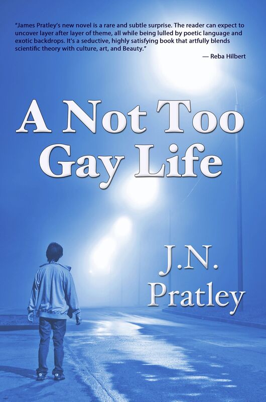 Not Too Gay Life, A
