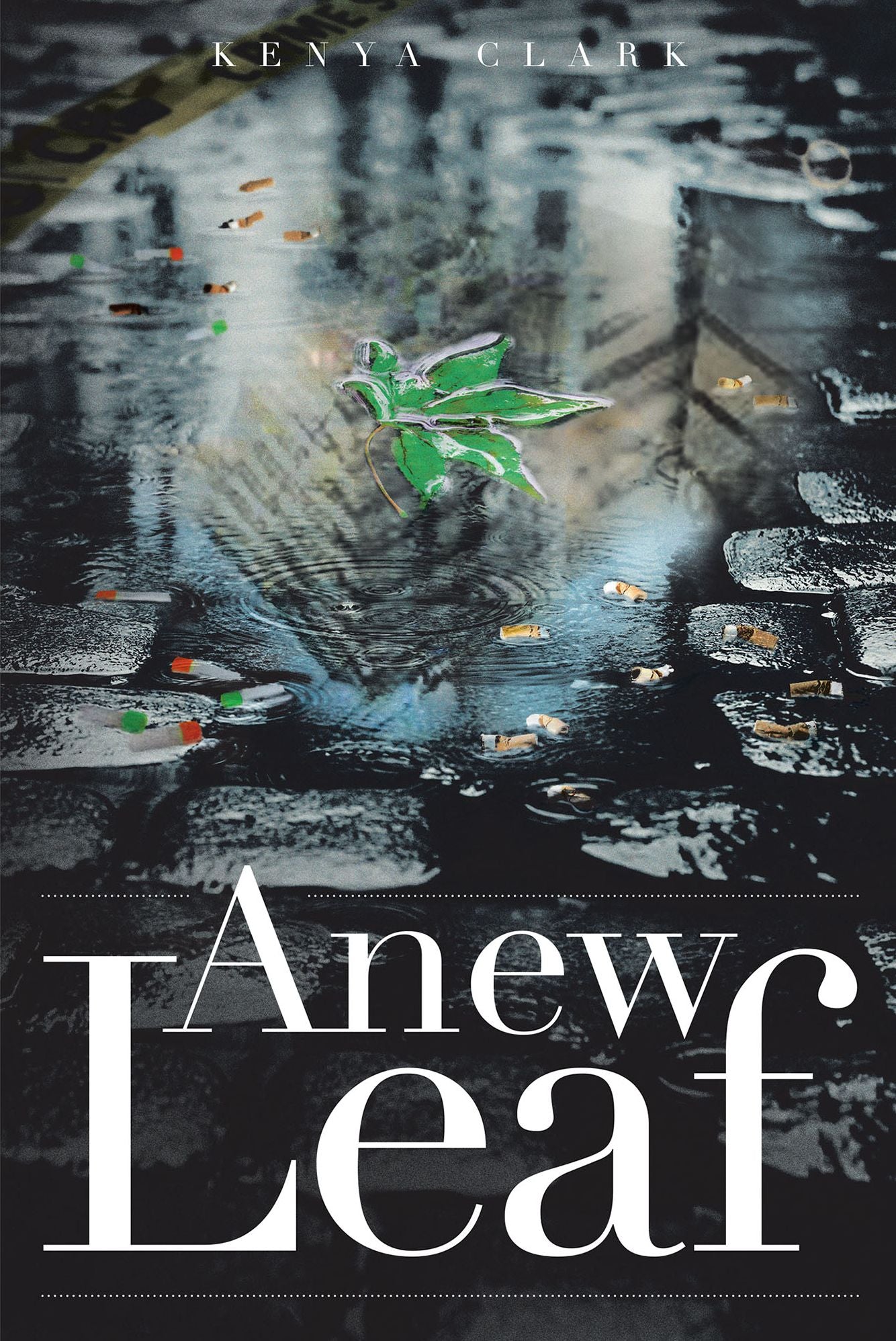 first book by Author - eBook preorder!