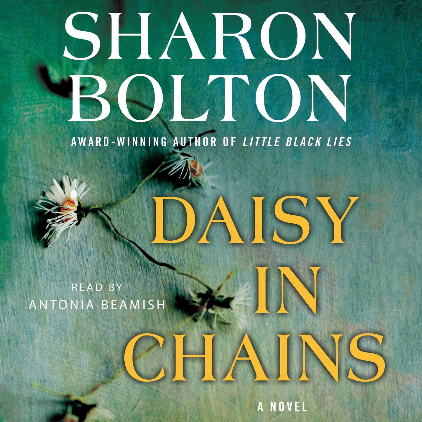 Daisy in Chains: A Novel