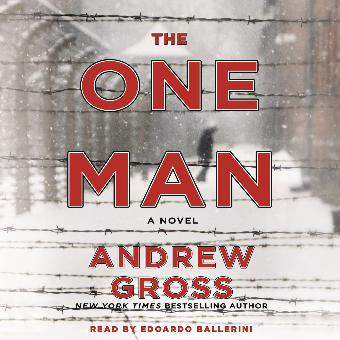 The One Man: A Novel