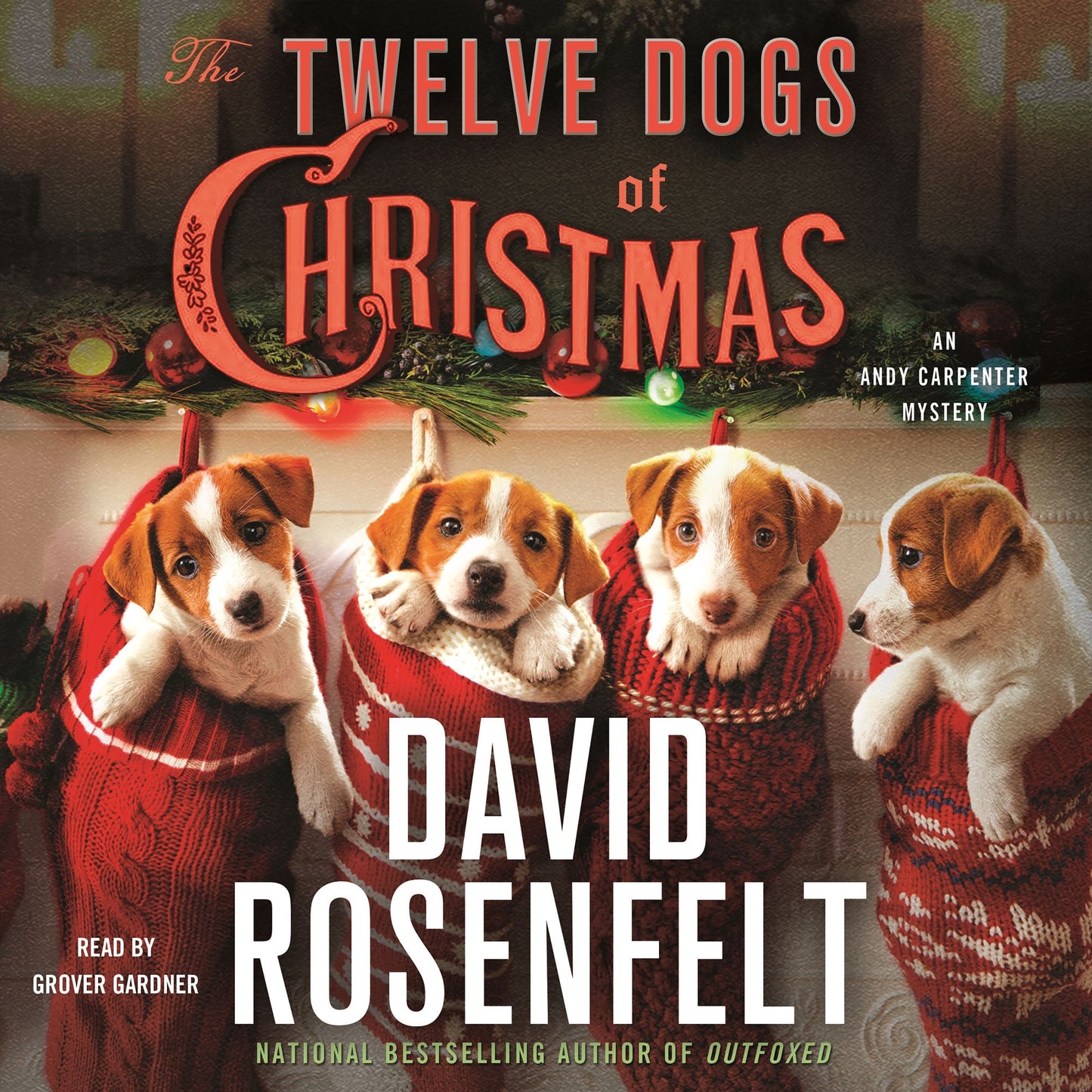 The Twelve Dogs of Christmas: An Andy Carpenter Mystery