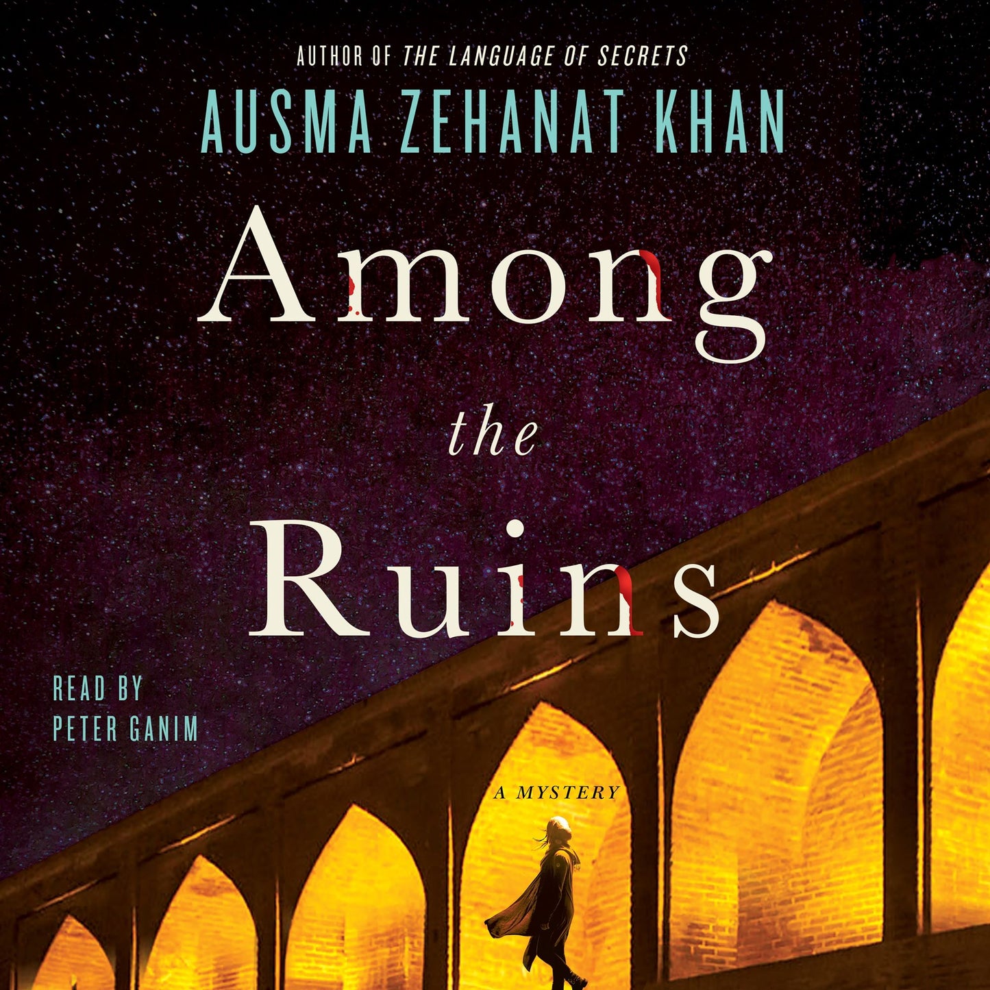 Among the Ruins: A Mystery
