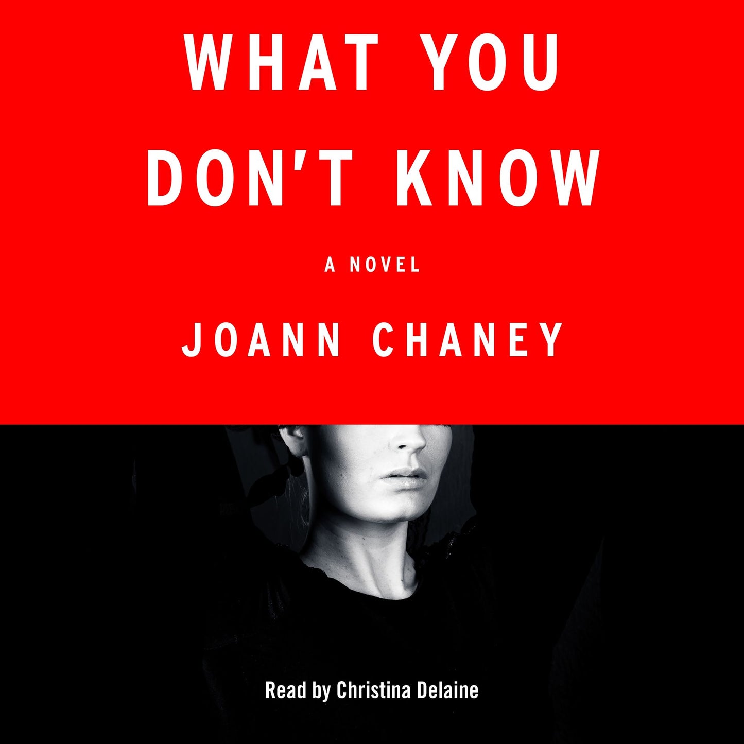 What You Don't Know: A Novel
