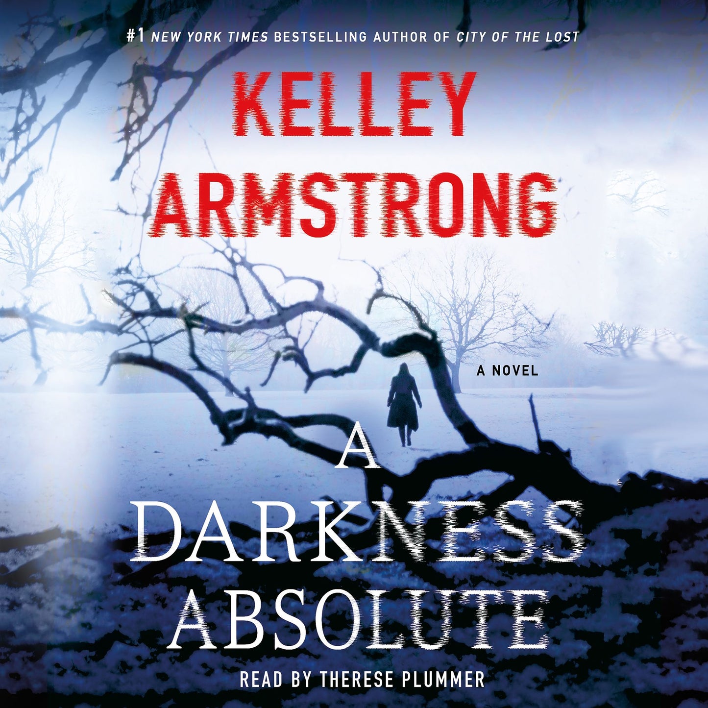 A Darkness Absolute: A Novel