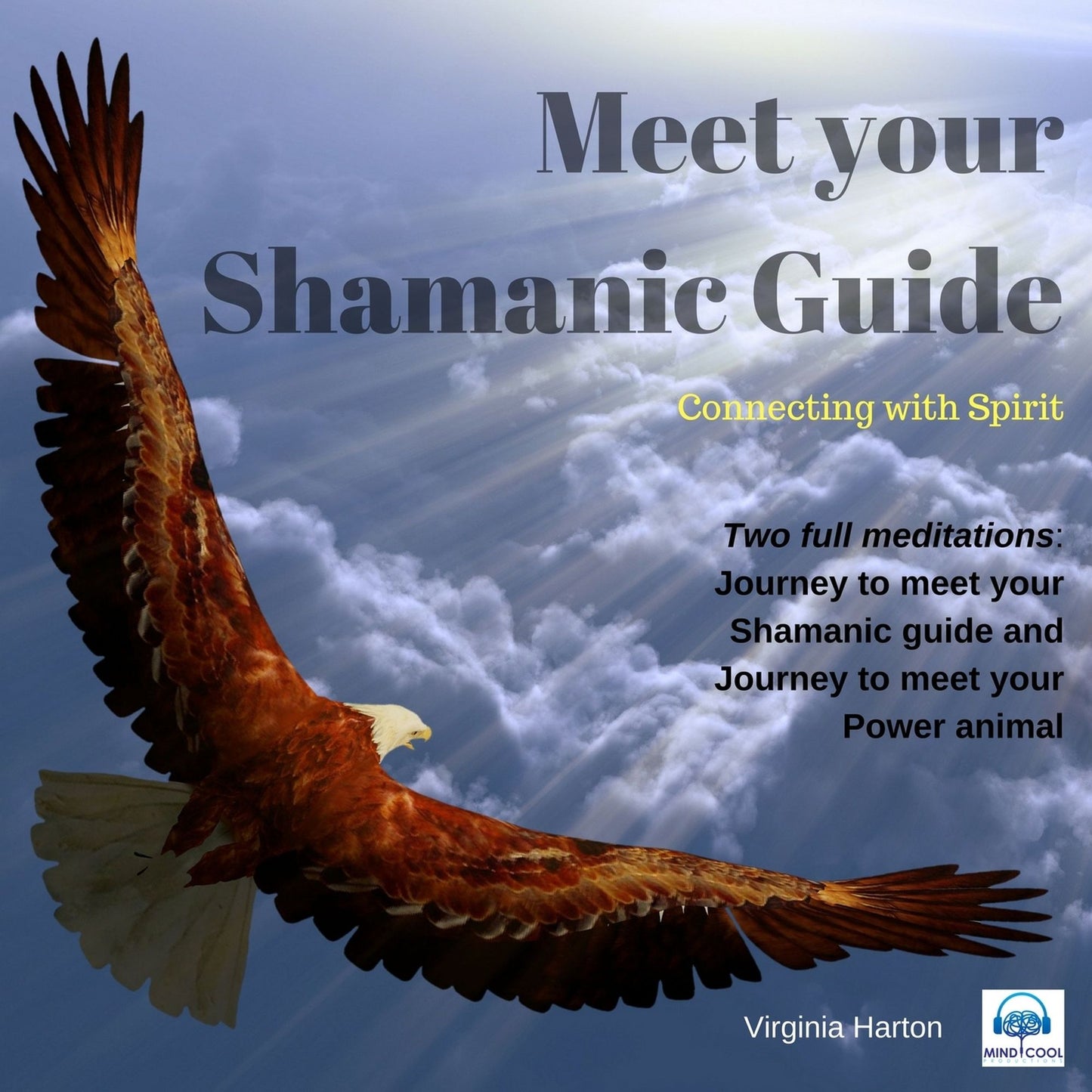Meet Your Shamanic Guide: Journey to meet your Shamanic guide and to meet your power animal