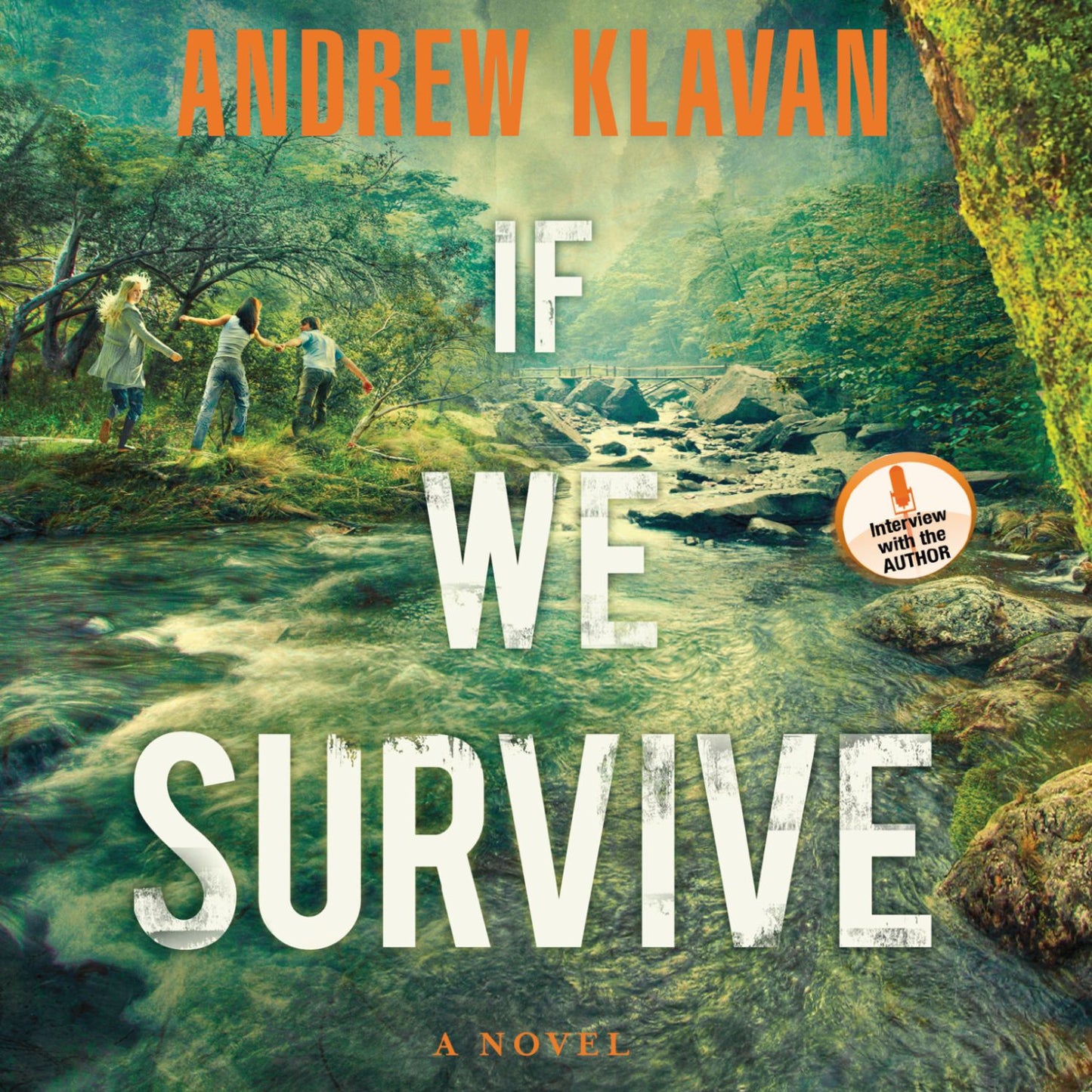If We Survive: A Novel