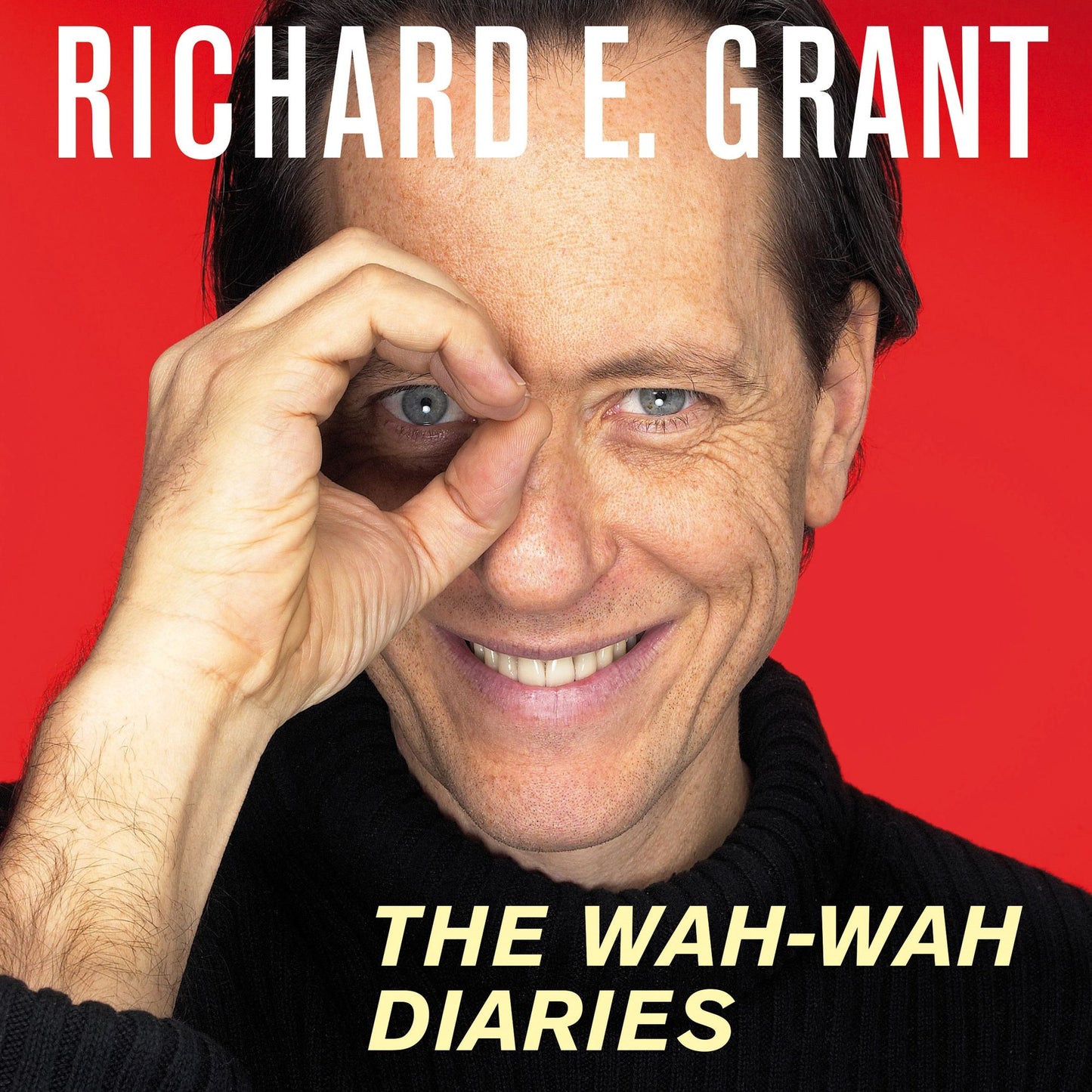 The Wah-Wah Diaries: The Making of a Film