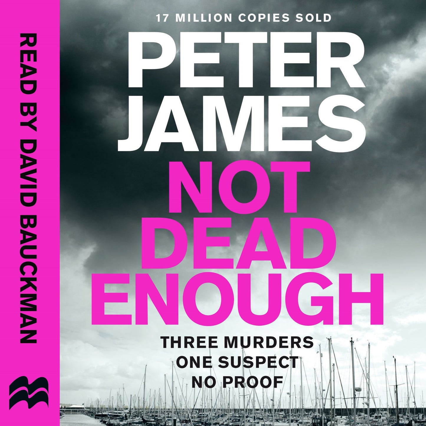 Not Dead Enough (Abridged)