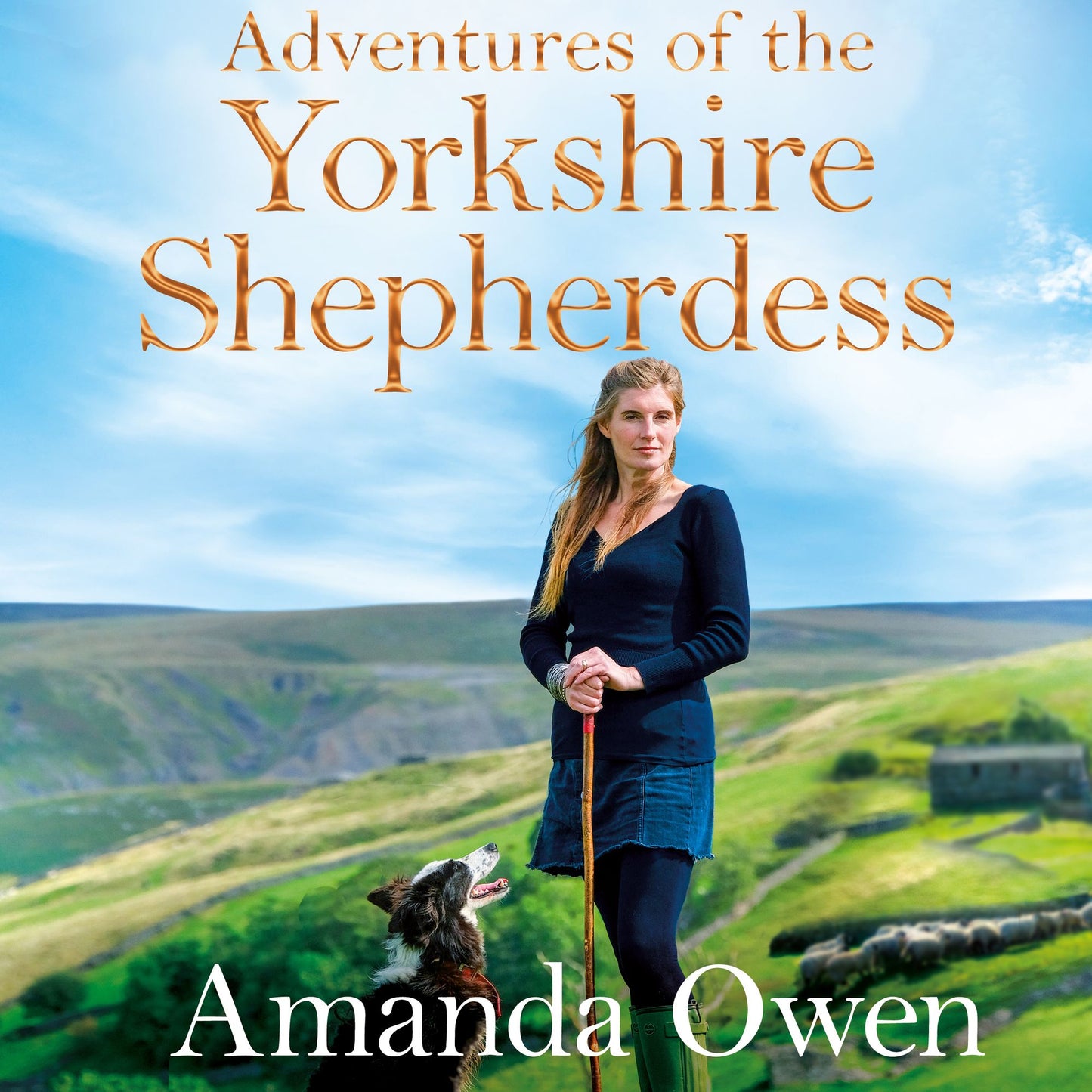 Adventures Of The Yorkshire Shepherdess