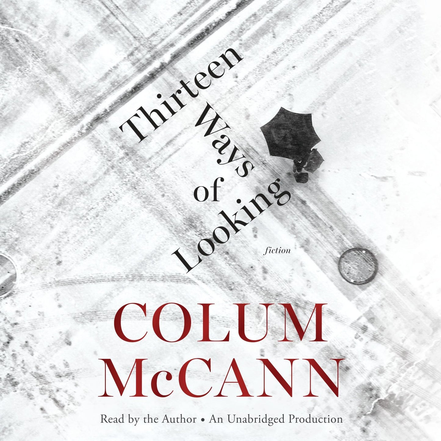 Thirteen Ways of Looking: Fiction